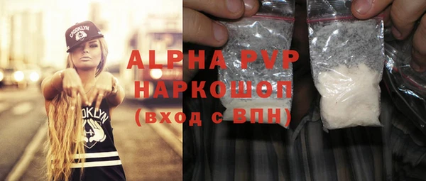 индика Михайловск