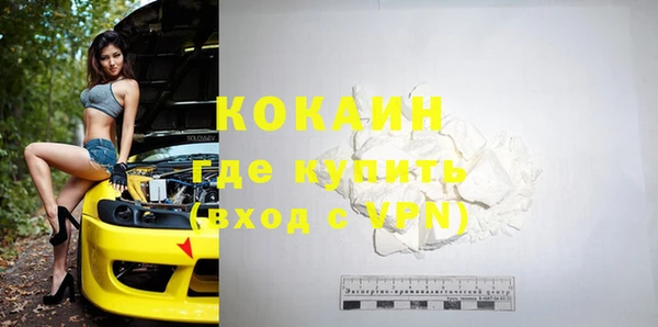 индика Михайловск