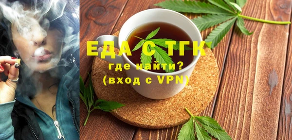 индика Михайловск