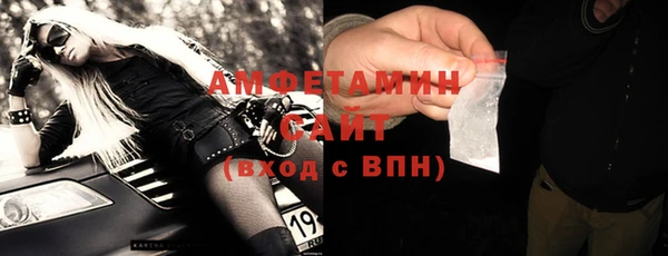 индика Михайловск