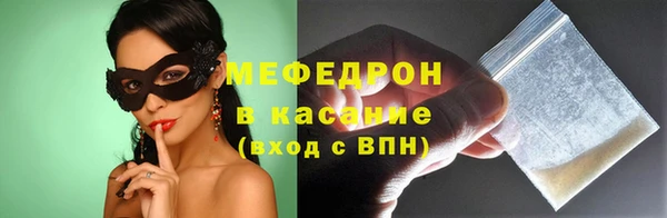 индика Михайловск