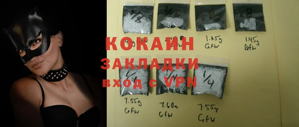 индика Михайловск