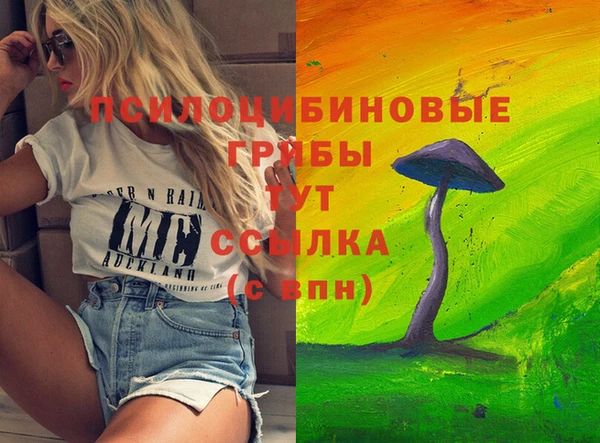 индика Михайловск