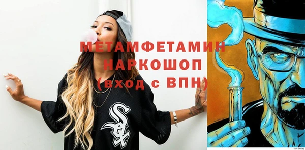 индика Михайловск