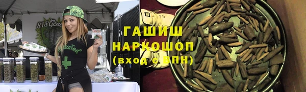 индика Михайловск
