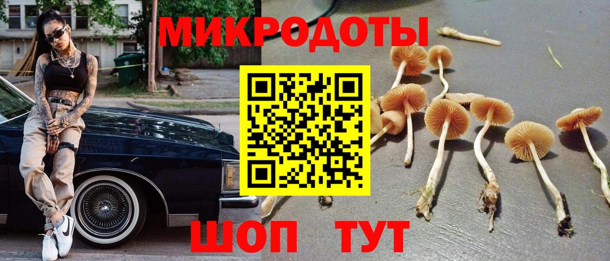 Хабаровск  Галлюциногенные грибы Magic Shrooms  Псилоцибиновые грибы Cubensis  Вход с VPN 