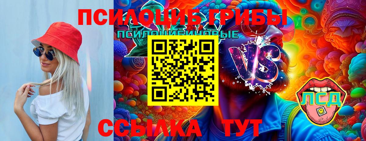 Псилоцибиновые грибы Cubensis Хабаровск